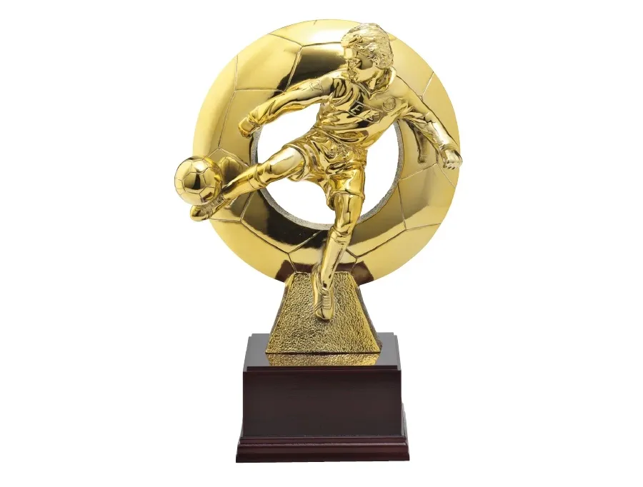 obrazek 1 Trofeum na mecz piłkarski
