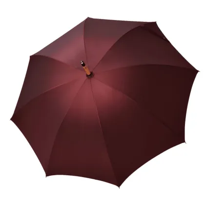 Zdjęcie Elegancka parasolka idealna na prezent dla drugiej osoby