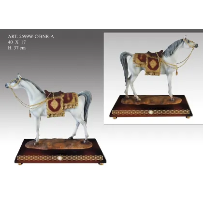 Zdjęcie Elegancki biały krolewski koń