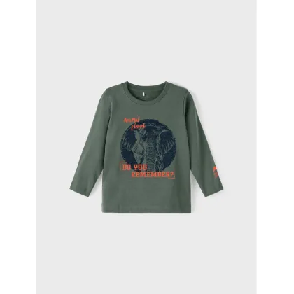 Zdjęcie NAME IT Bluzka 13212502 Zielony Regular Fit