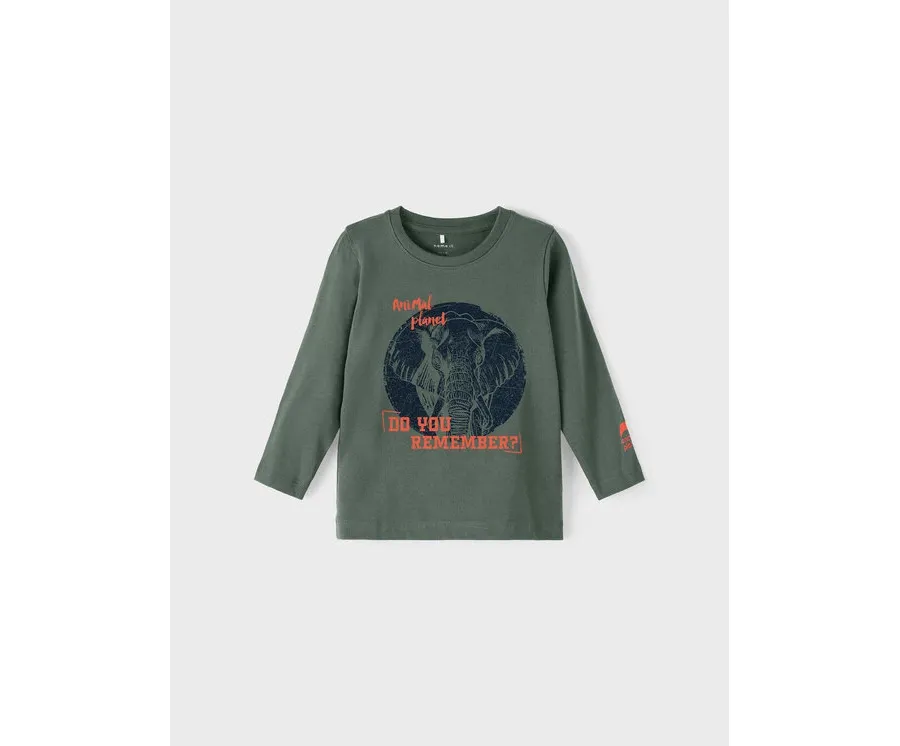 obrazek 1 NAME IT Bluzka 13212502 Zielony Regular Fit