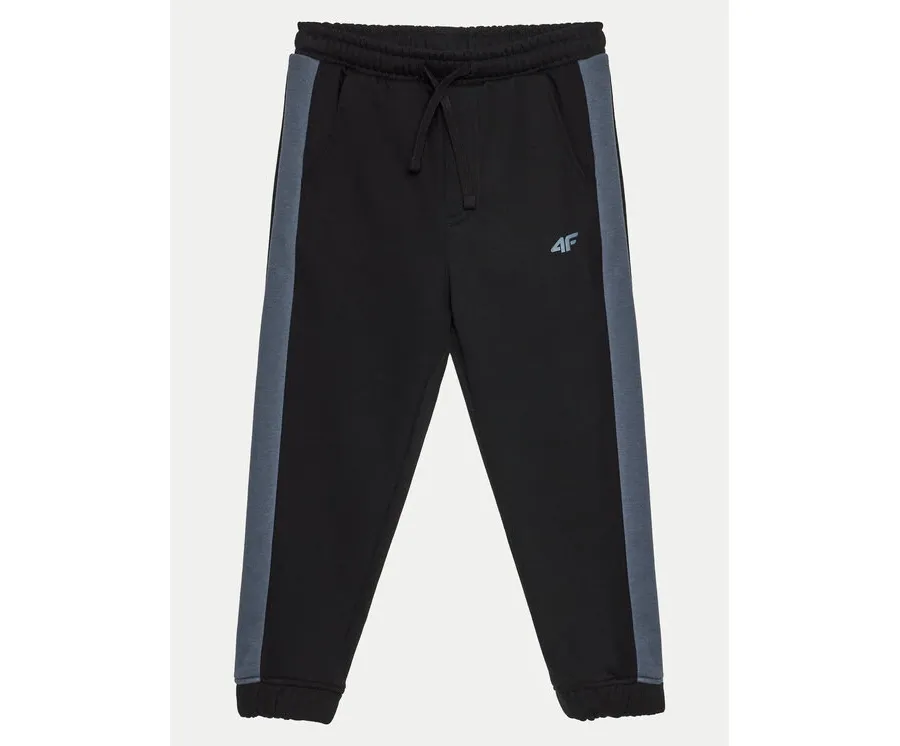 obrazek 1 4F Spodnie dresowe 4FJWAW24TTROM759 Czarny Regular Fit