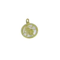 Zdjęcie Zodiakalny lew zawieszka z włoch