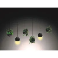 Picture Avant-garde decoration - a ceiling lamp shade or a flower pot