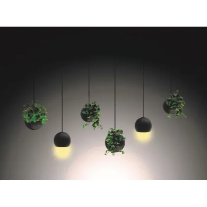 Zdjęcie Awangardowa dekoracja - sufitowy klosz oświetleniowy lub w formie doniczki na kwiaty