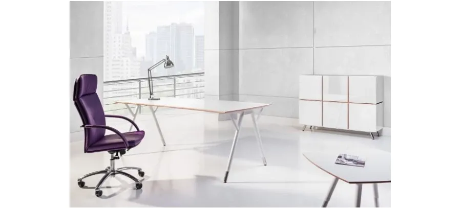 obrazek 5 Designerskie meble do biura i gabinetu