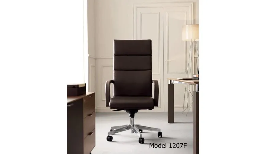 picture 1 President  comfortable leather armchair