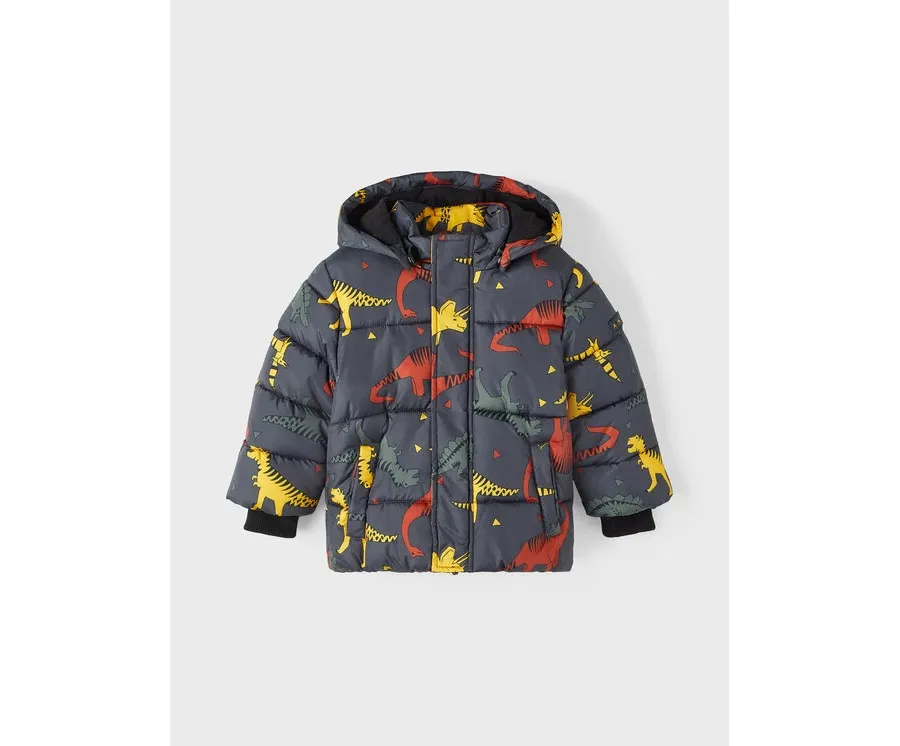 obrazek 1 NAME IT Kurtka zimowa 13218508 Kolorowy Regular Fit