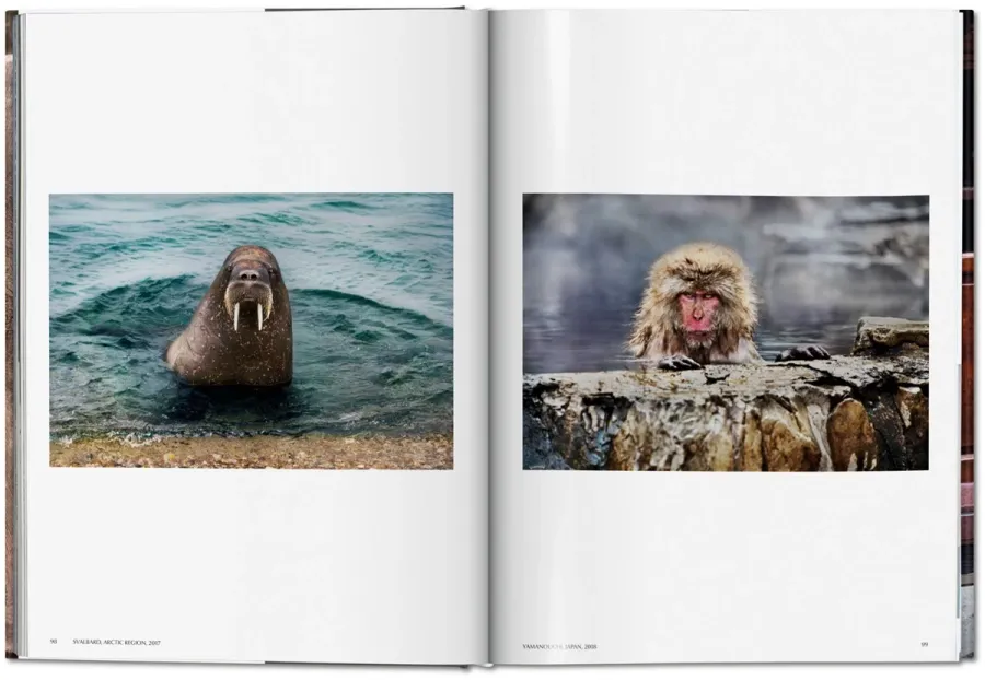 obrazek 7 Książka Steve McCurry. Zwierzęta - Taschen