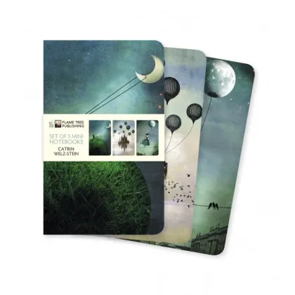 Zdjęcie Kolekcja mini notatników (Catrin Welz-Stein) - Flame Tree Publishing