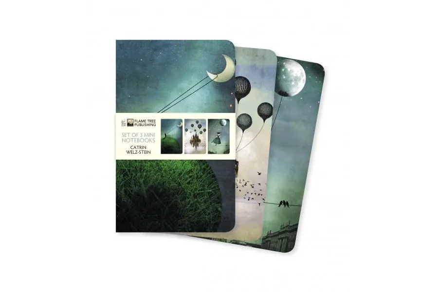 obrazek 1 Kolekcja mini notatników (Catrin Welz-Stein) - Flame Tree Publishing