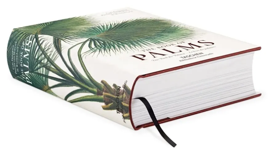 obrazek 3 Książka Martius. Księga Palm - Taschen