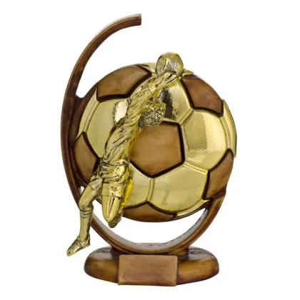 Zdjęcie Trofeum dla sportowca - Astra Argenti