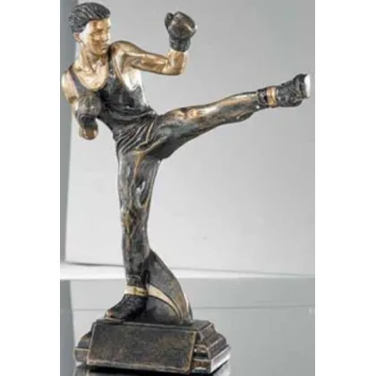 Zdjęcie Statuetka dla zwycięzcy zawodów w kickboxingu - Erre Emme