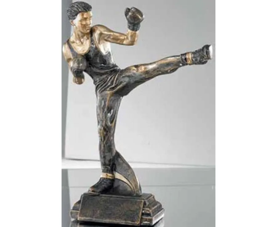 obrazek 1 Statuetka dla zwycięzcy zawodów w kickboxingu - Erre Emme