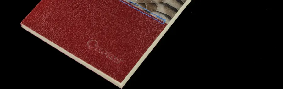 picture 2 Leather notebook with snakeskin elements