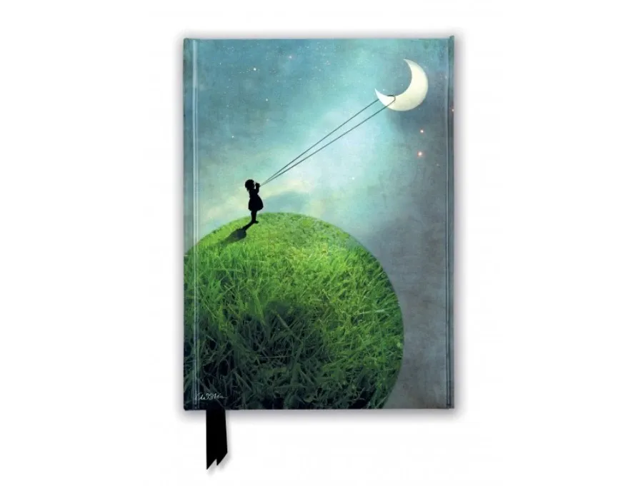 obrazek 1 Dziennik (Catrin Welz-Stein: W pogoni za księżycem) - Flame Tree Publishing