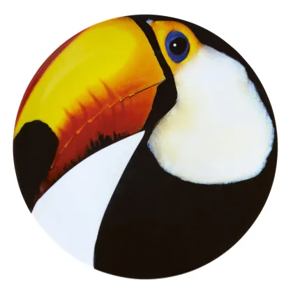 Zdjęcie Talerz-półmisek Olhar o Brasil z przedstawieniem tukana - Vista Alegre