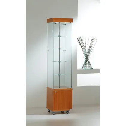 Picture Stylish shop window with a cabinet and rotating shelves
