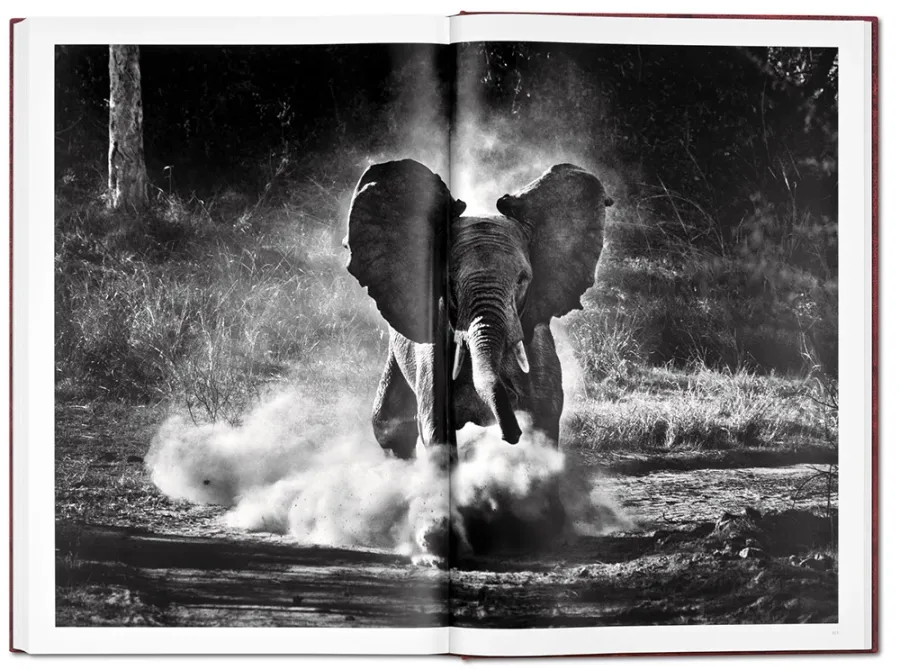obrazek 9 Książka Sebastião Salgado. GENESIS, Art Edition No. 1–100 ‘Two Mursi Women, Omo Valley, Ethiopia’ - Taschen