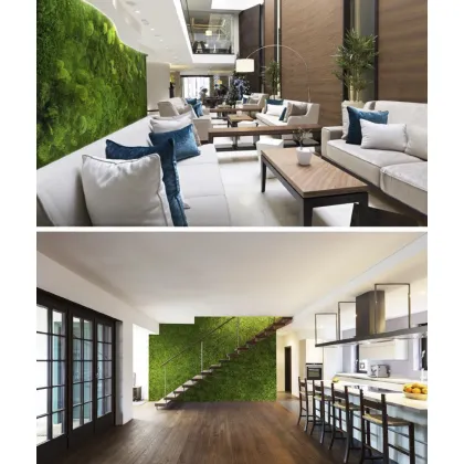 Zdjęcie 50x50 cm Mech leśny poduszkowy (jasna oliwka P01)