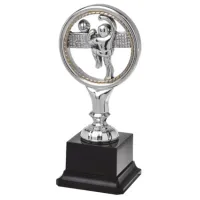 Picture A statuette for the winning volleyball team