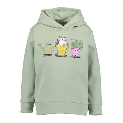 Zdjęcie Blue Seven Bluza 717597 X Zielony Regular Fit