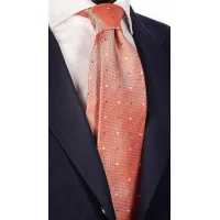Picture A show tie with blue and white dots