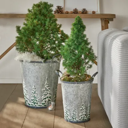 Zdjęcie Kubeł, zestaw 2 szt. Pavie