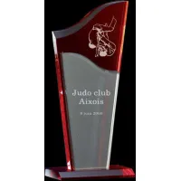 Picture Glass trophy for an athlete – Erre Emme