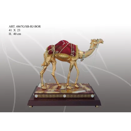 Zdjęcie Królewski wielbłąd na ciekawej podstawie