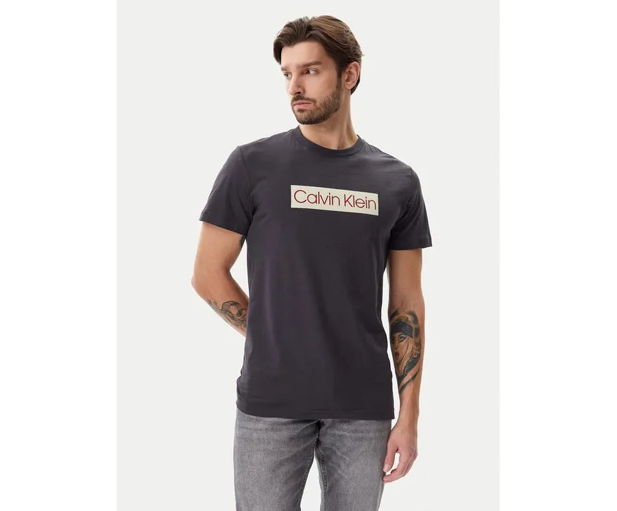 obrazek 1 Calvin Klein Jeans T-Shirt J30J327472 Szary Regular Fit