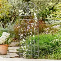 Zdjęcie Treliaż Brac