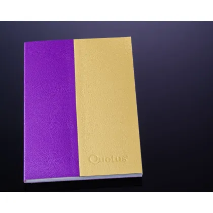 Zdjęcie Skóra genialny notes