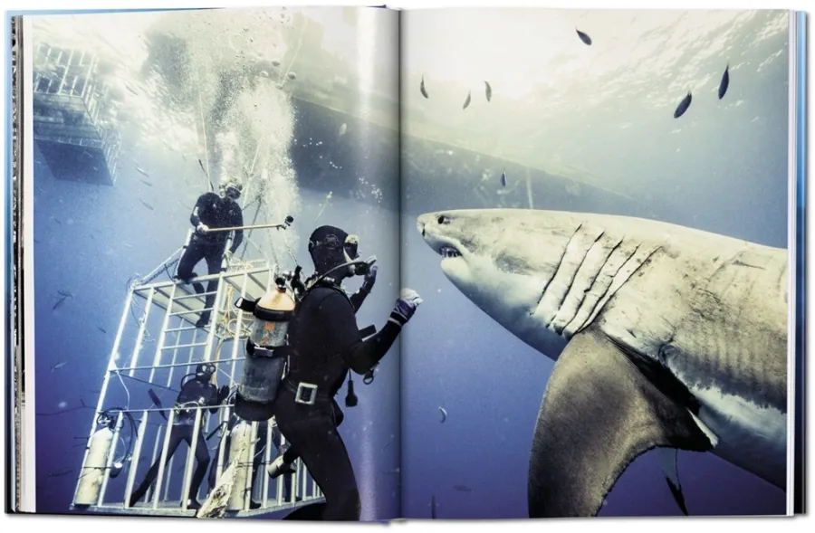 obrazek 2 Książka Michael Muller. Sharks. Face-to-Face with the Ocean’s Endangered Predator - Taschen
