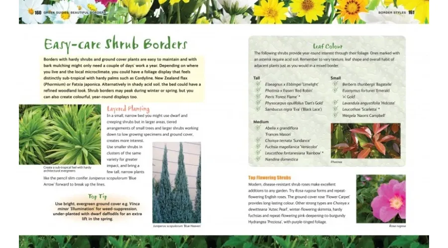 obrazek 4 Poradnik Piękne rabatki - Flame Tree Publishing