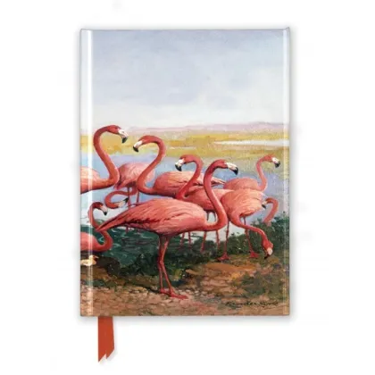 Zdjęcie Dziennik (Gerritt Vandersyde: Flamingi) - Flame Tree Publishing