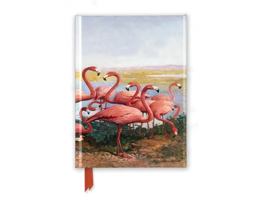 obrazek 1 Dziennik (Gerritt Vandersyde: Flamingi) - Flame Tree Publishing