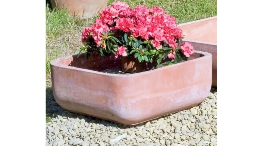 obrazek 1 Piękna gładka donica na kwiaty wykonana z gliny - Fornace Masini