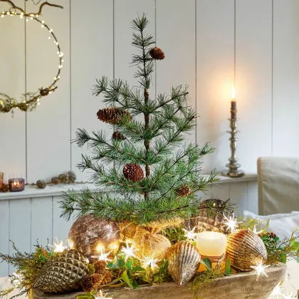 Zdjęcie Drzewko dekoracyjne Bohicon