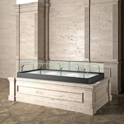 Picture A beautiful, stylish museum display case