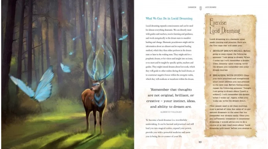 obrazek 6 Książka Szamanizm: duchowy wzrost, uzdrowienie, świadomość - Flame Tree Publishing