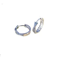 Picture Wonderful hoop earrings with zircons, diameter 13mm