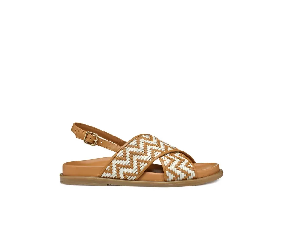 obrazek 1 Geox Sandały D Adelash D55YWE 000TC C5F1S Brązowy