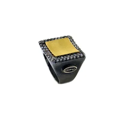 Picture Luxurious ring decorated with gold - Astorga