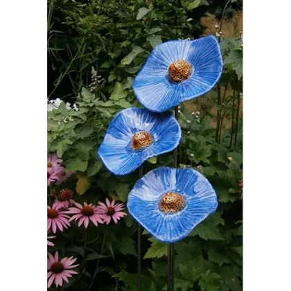 Zdjęcie Ekskluzywny zestaw trzech niebieskich maków - wyjątkowa ozdoba do ogrodu