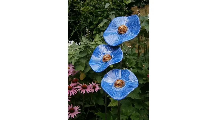 obrazek 1 Ekskluzywny zestaw trzech niebieskich maków - wyjątkowa ozdoba do ogrodu