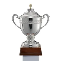 Picture A unique cup - a sports award