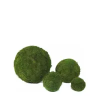 Picture Decoration - a ball of stabilized moss