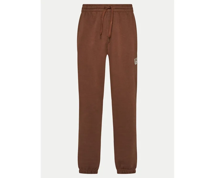 obrazek 1 Reebok Spodnie dresowe Cl Ae Pant 100202799 Brązowy Regular Fit